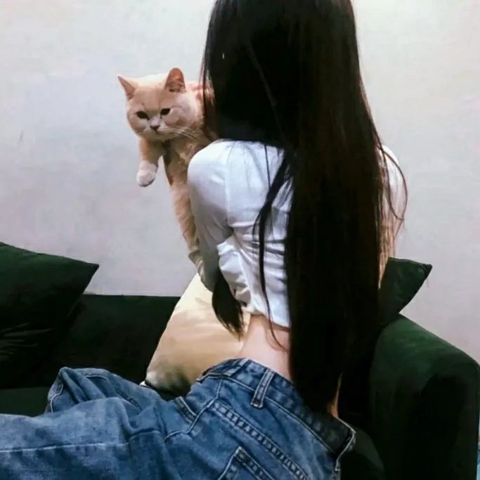 血战蛮江